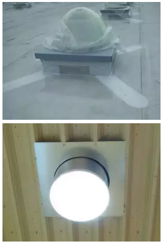 寵物食品商店需要什么樣的光源？